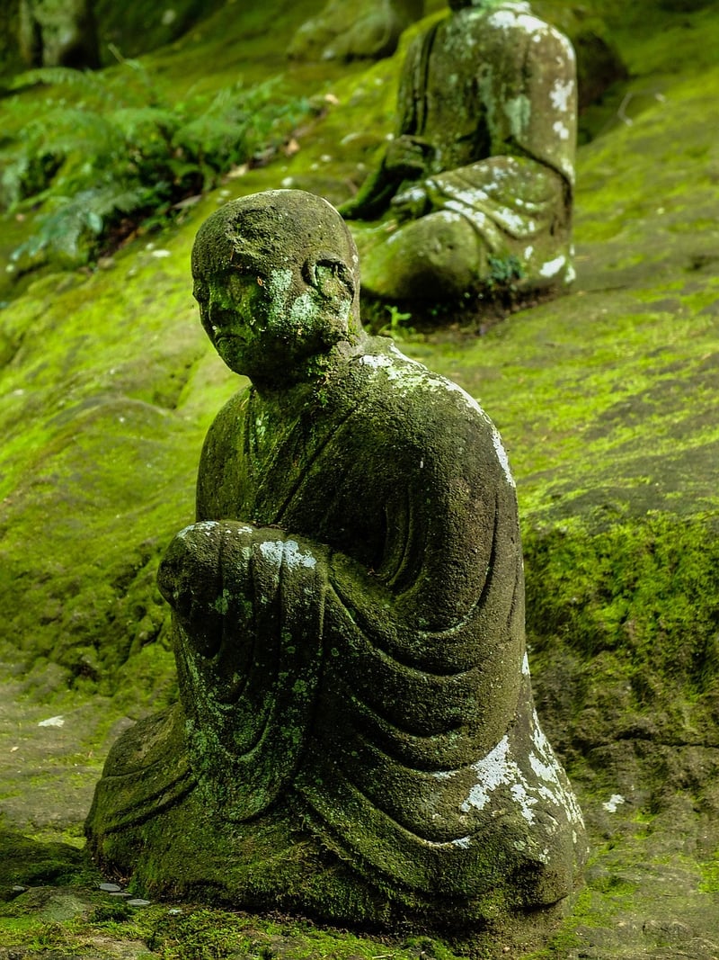 Buddha Bowl